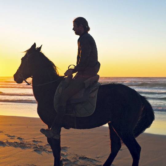 L'équitation en Corse - La Corse à cheval pour profiter de la nature !