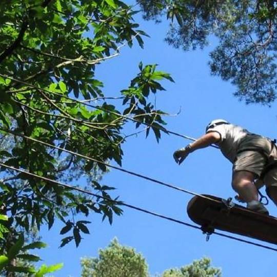 L'accrobranche en Corse, aventures dans les arbres